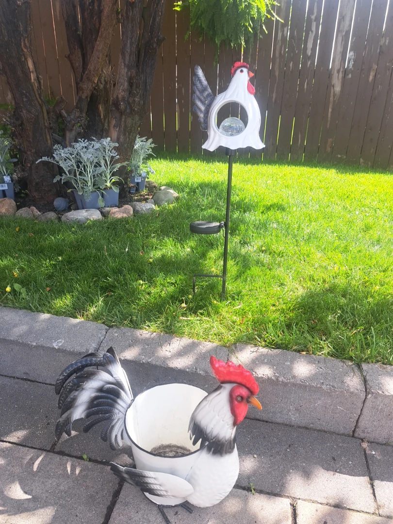 Rooster Planter and Solar Light Set