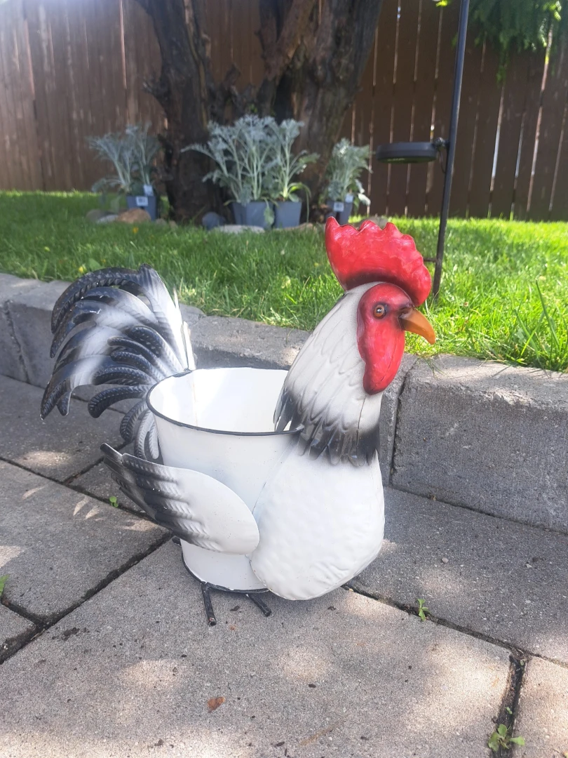 Rooster Planter and Solar Light Set - photo 4