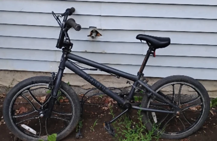 Redline bmx Dark Grey Bike