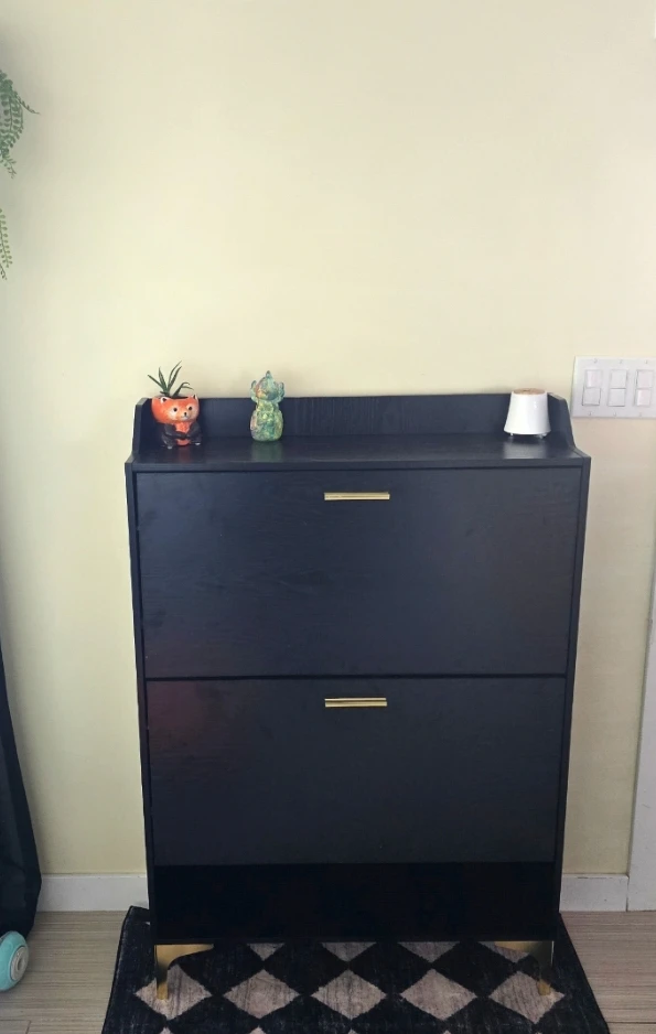 Black Two-Drawer Shoe Cabinet with Gold Accents