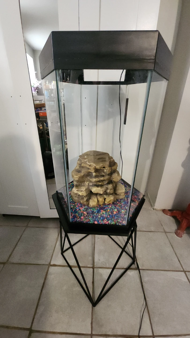 20-Gallon Hexagon Aquarium