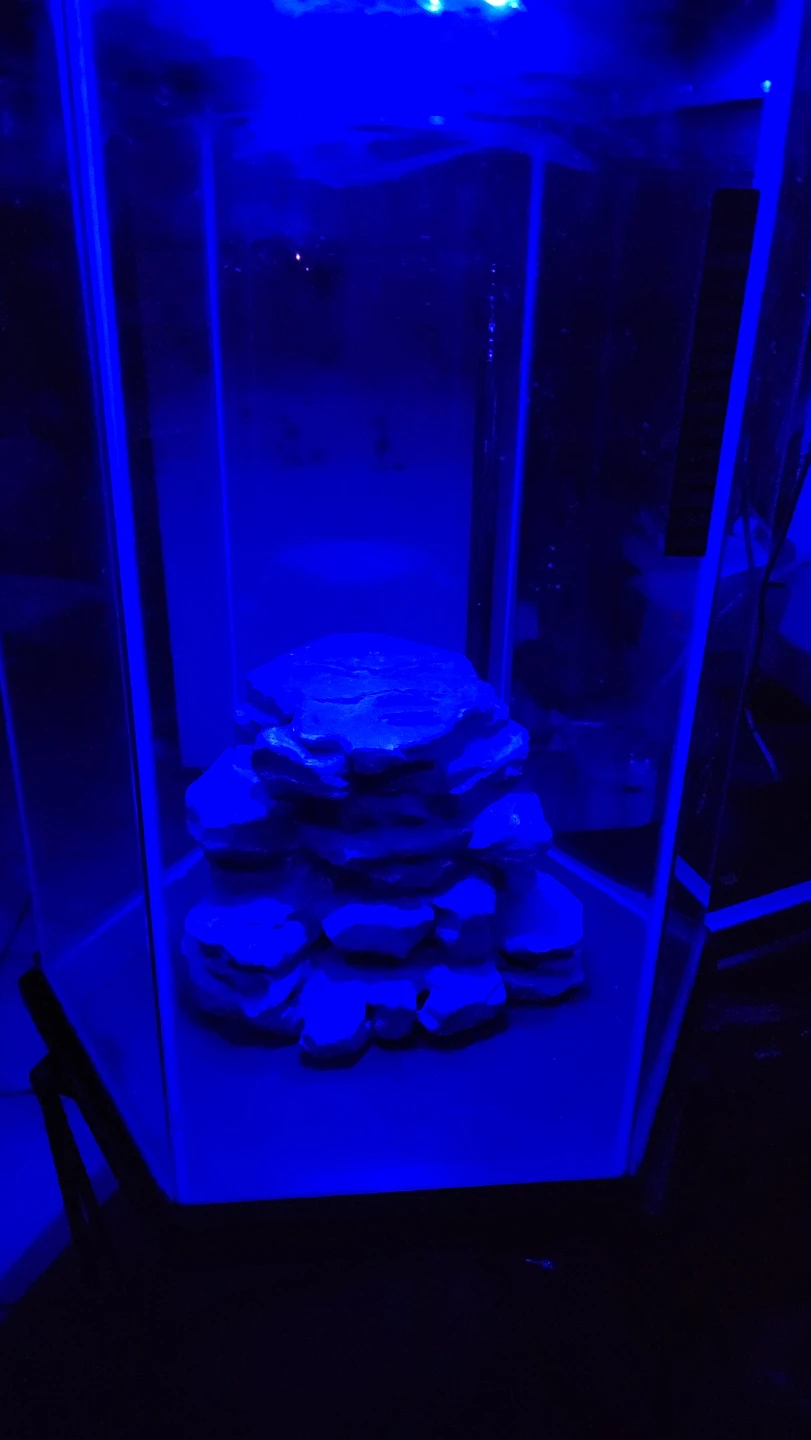 20-Gallon Hexagon Aquarium - photo 2