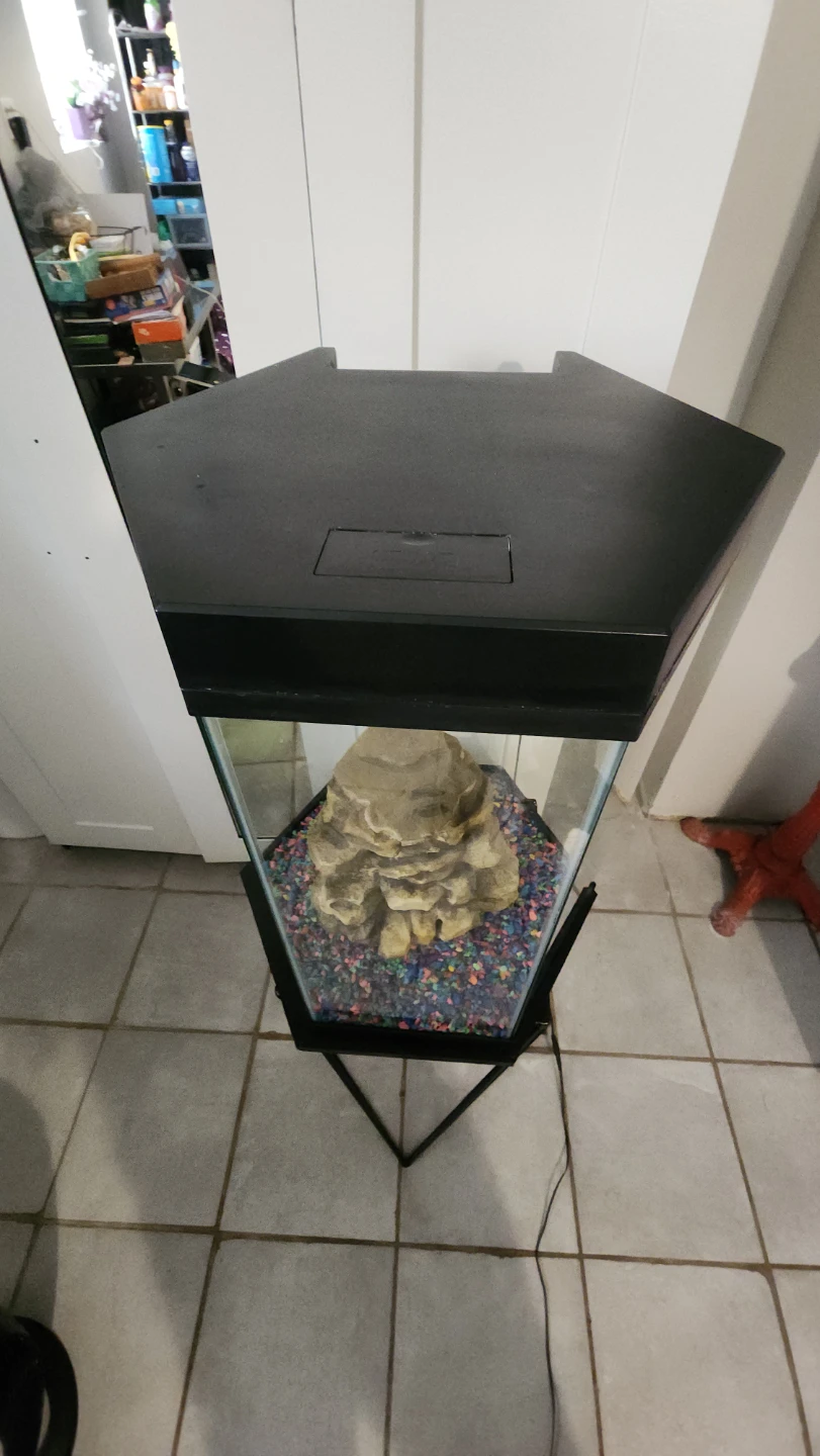 20-Gallon Hexagon Aquarium - photo 3