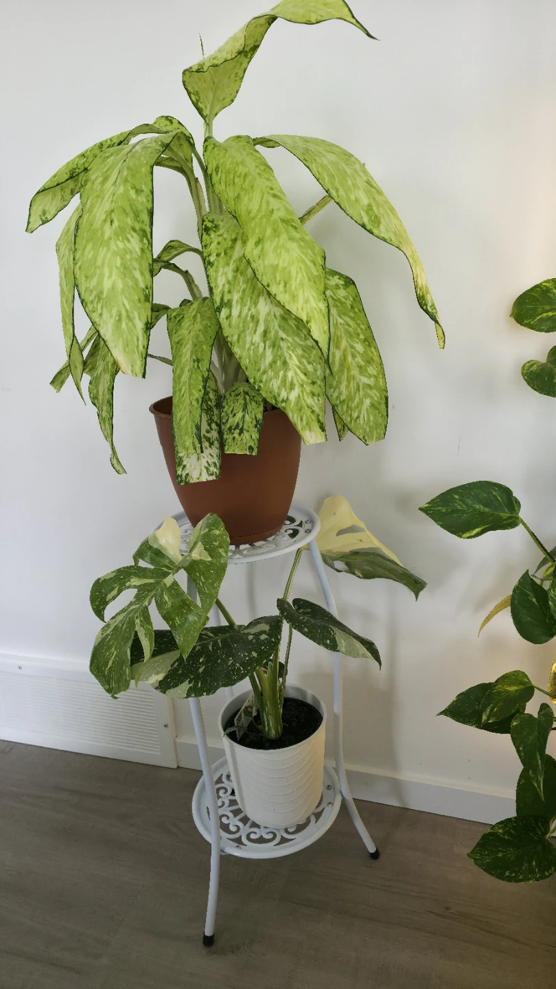 White Metal Plant Stand