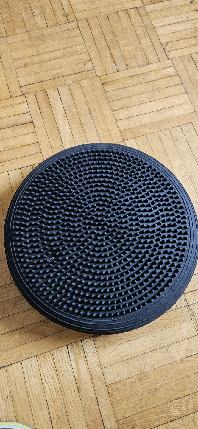 PTP Stability Disc - photo 3