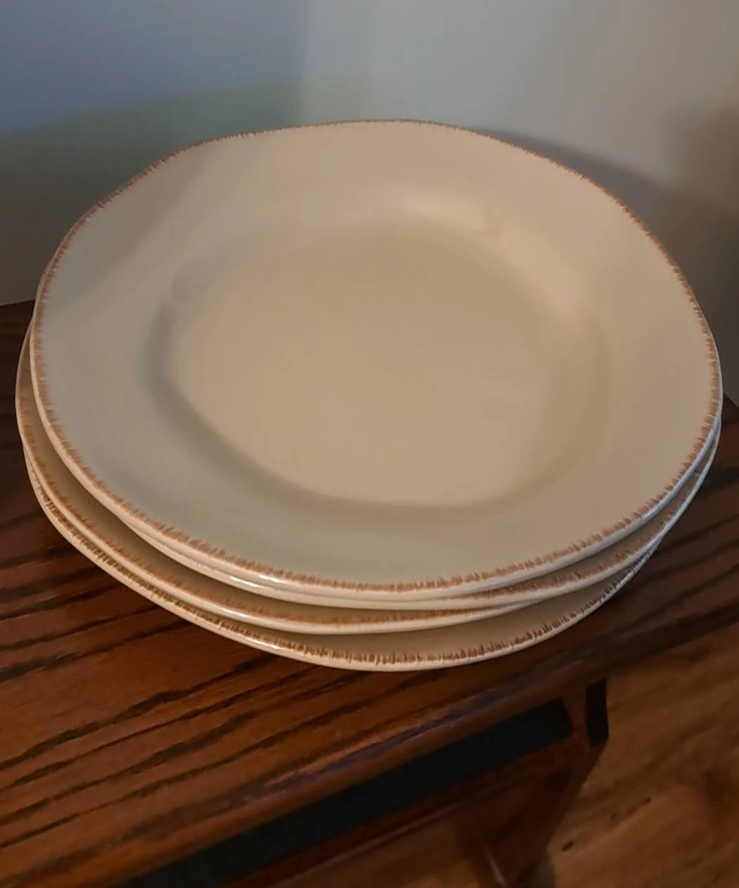 Set of 4 Pier 1 Earthenware Dinner Plates