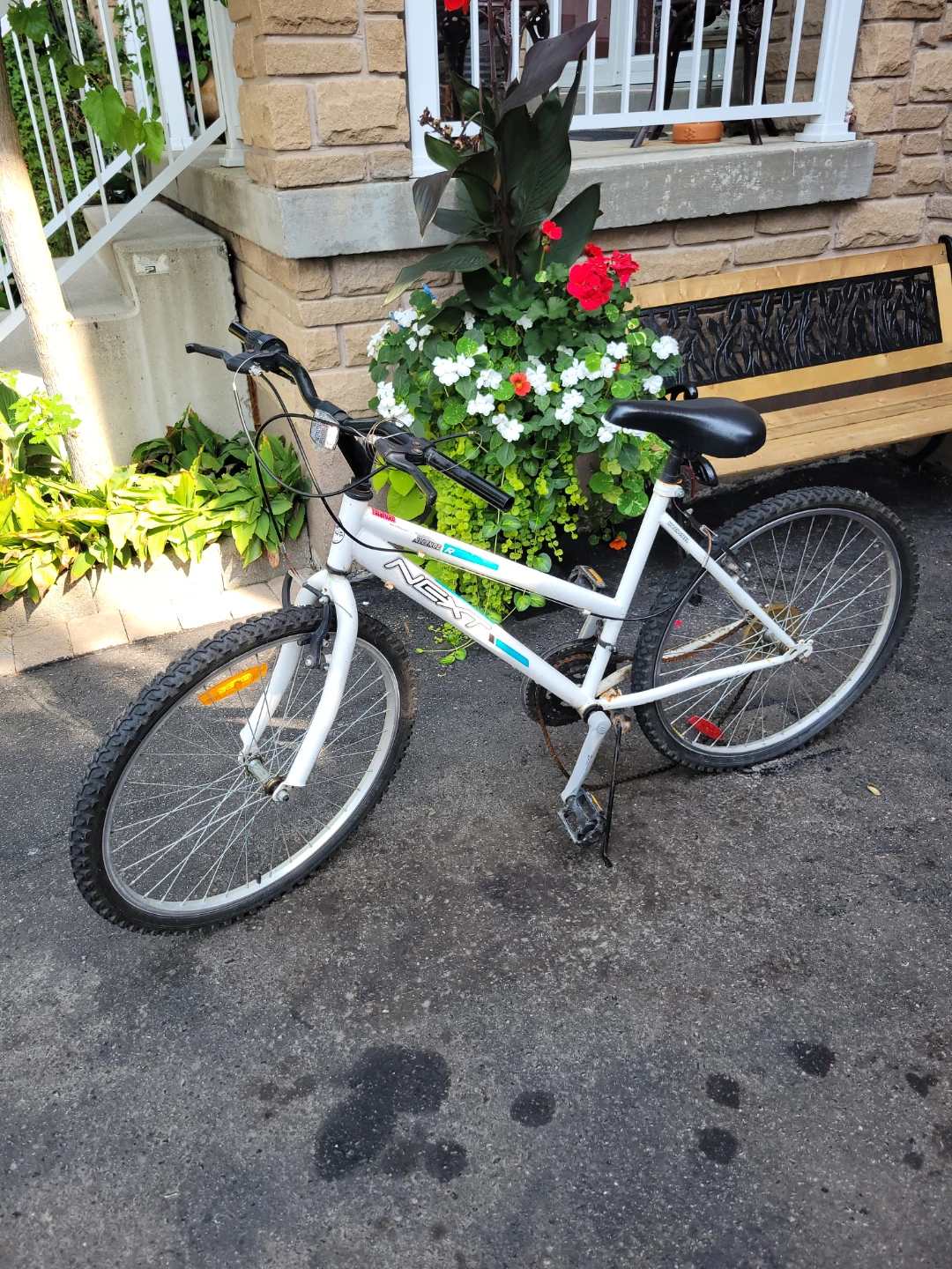 26" Bicycle adult