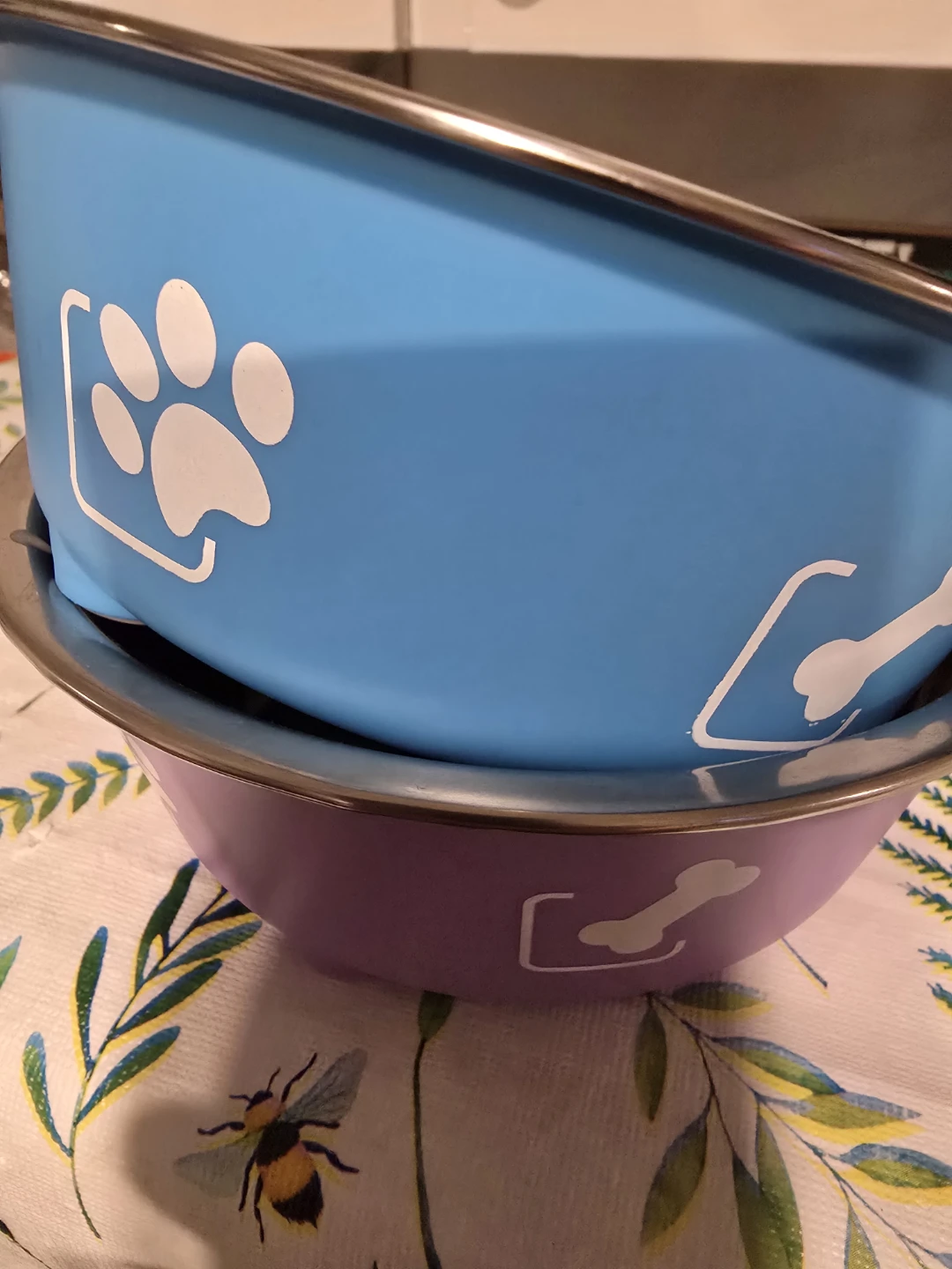 Pet Bowls (Set of 2)