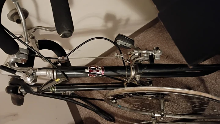 Vintage Nishiki Road Bike