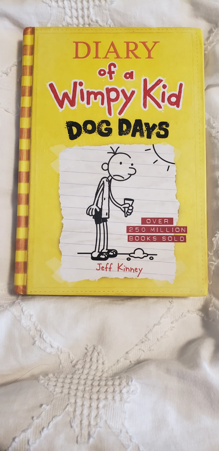 4 Diary of a Wimpy Kid Books - photo 3
