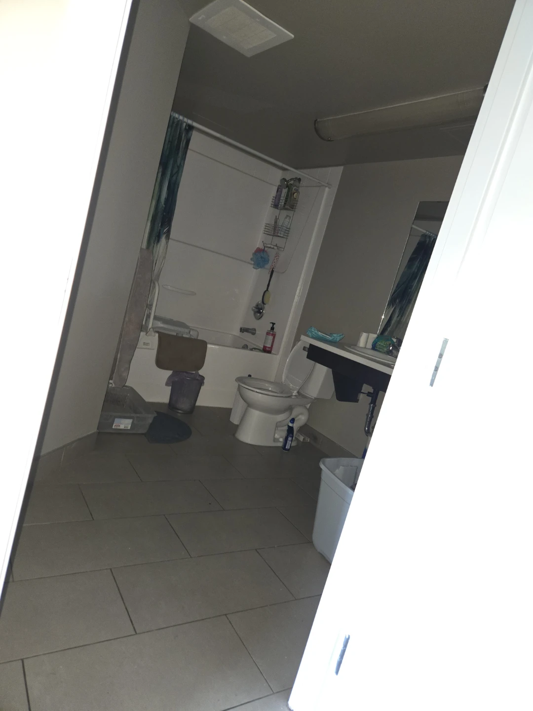 Looking for cleaner in Boyle street area