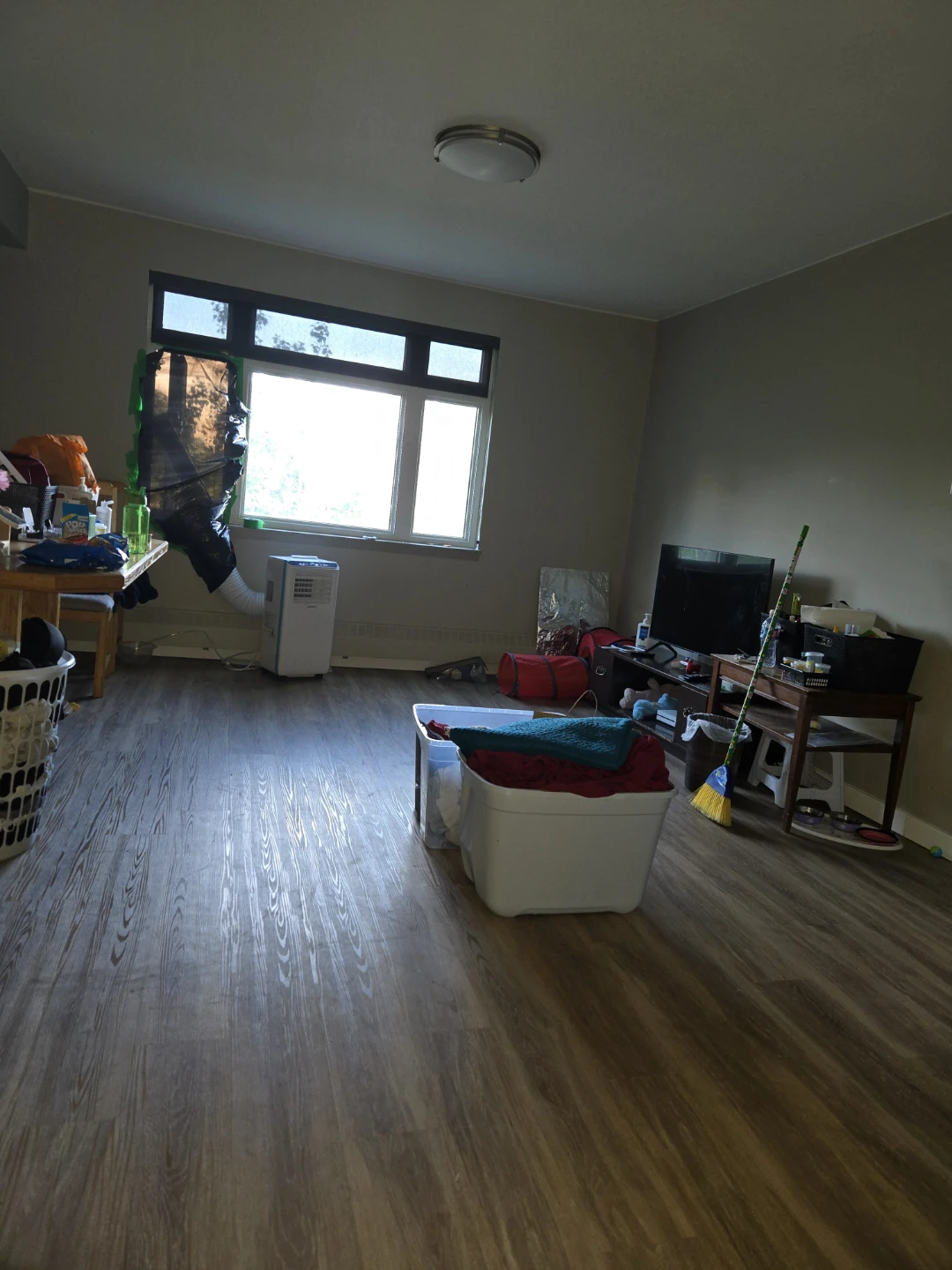 Looking for cleaner in Boyle street area - photo 2