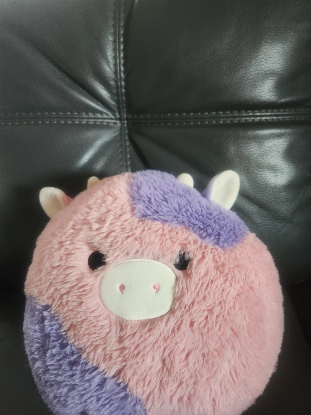 Pink and Purple Cow Plush Toy