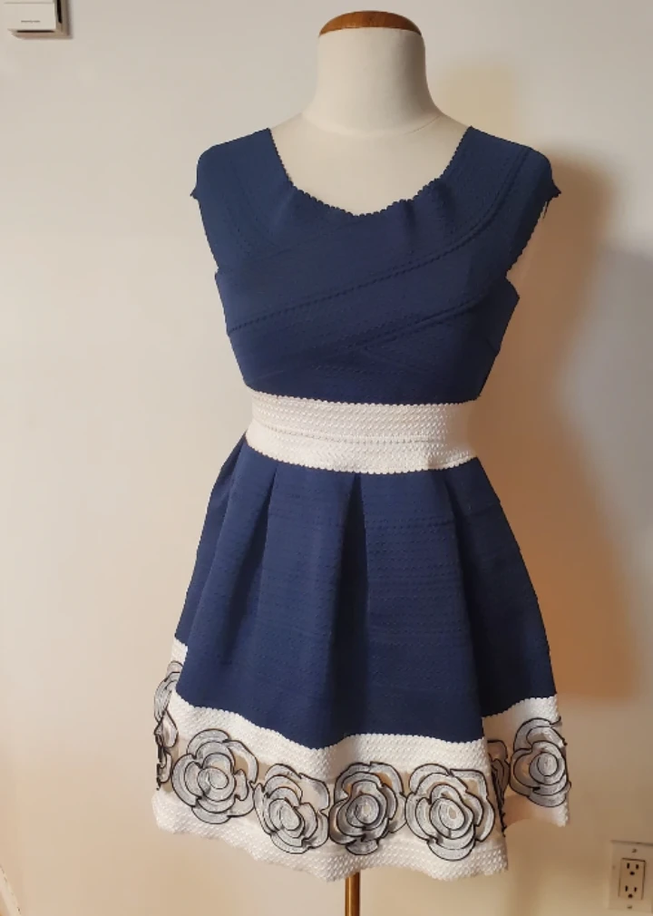 Women's Blue & White Rose Trim Fit and Flare Dress