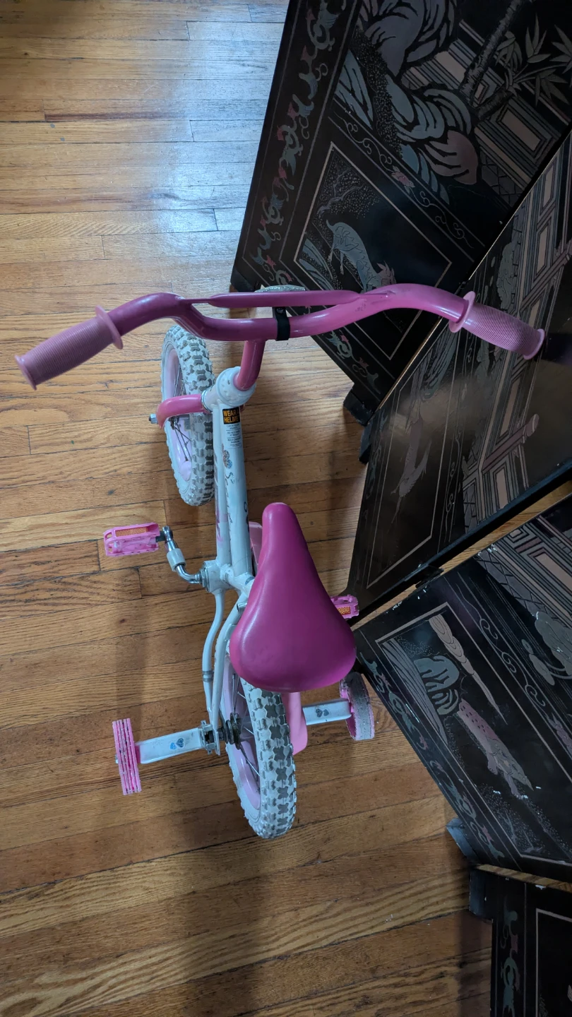 Pink Seastar 12" Kids Training Bike - photo 4