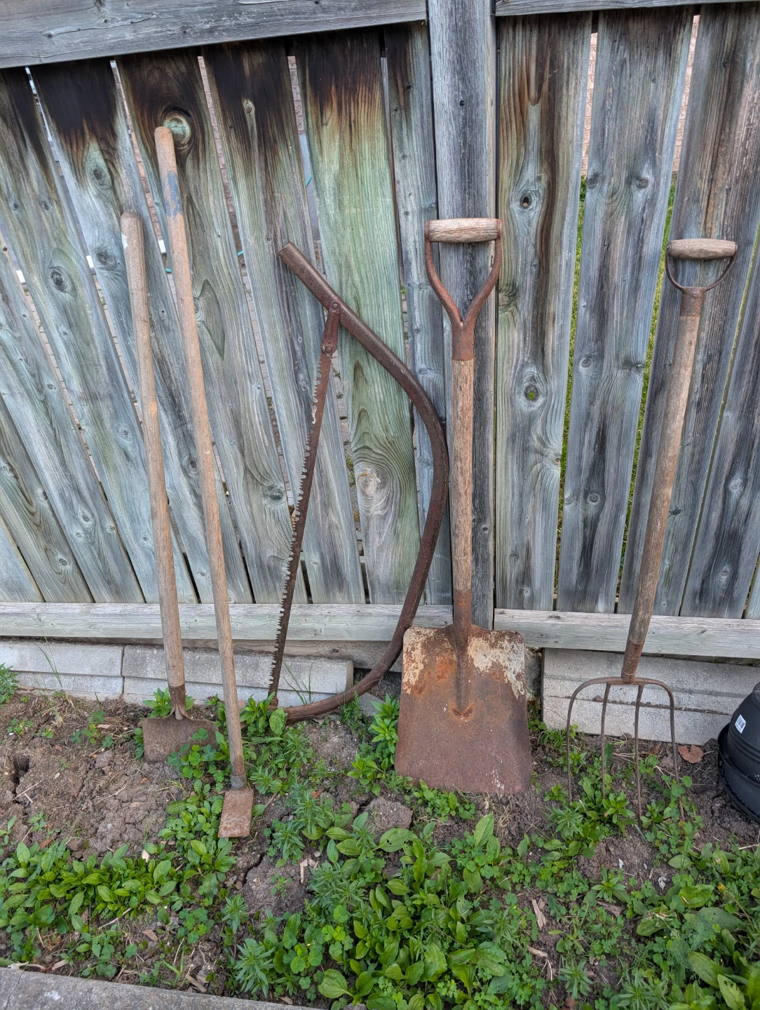 Assorted Garden Tools - Shovel, Pitchfork, Saw, Hoe - photo 4