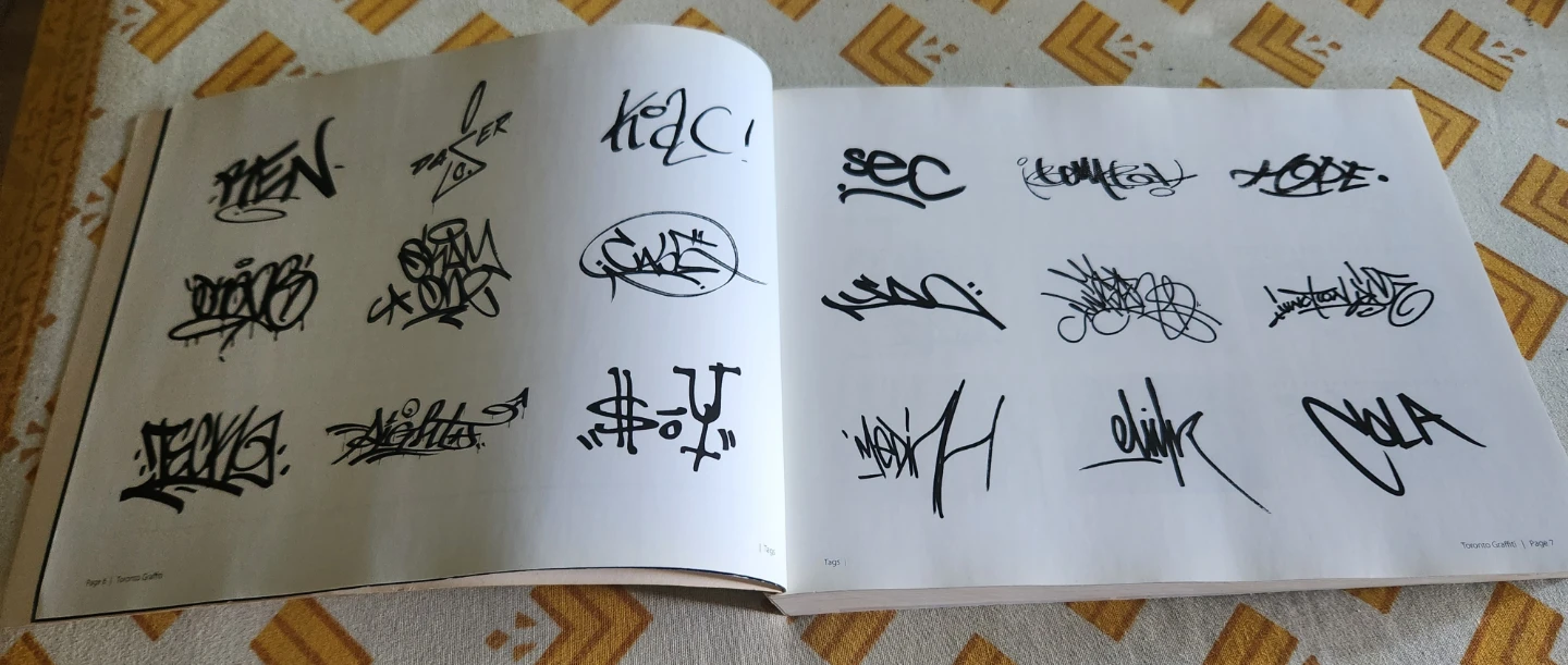 Toronto Graffiti Book - photo 2