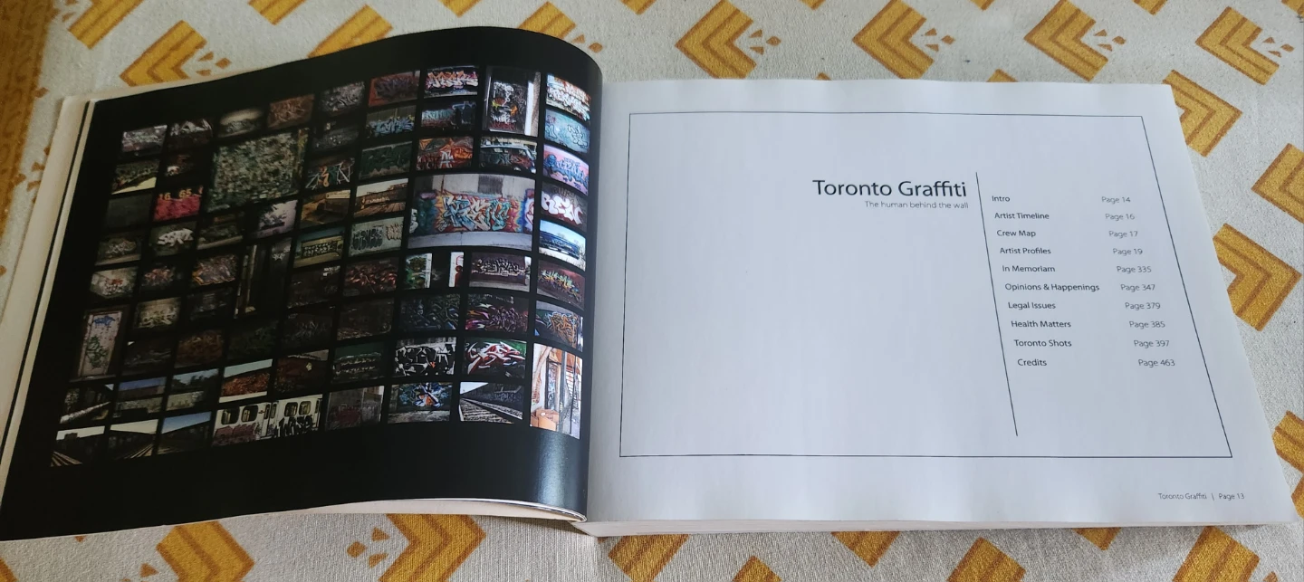 Toronto Graffiti Book - photo 3
