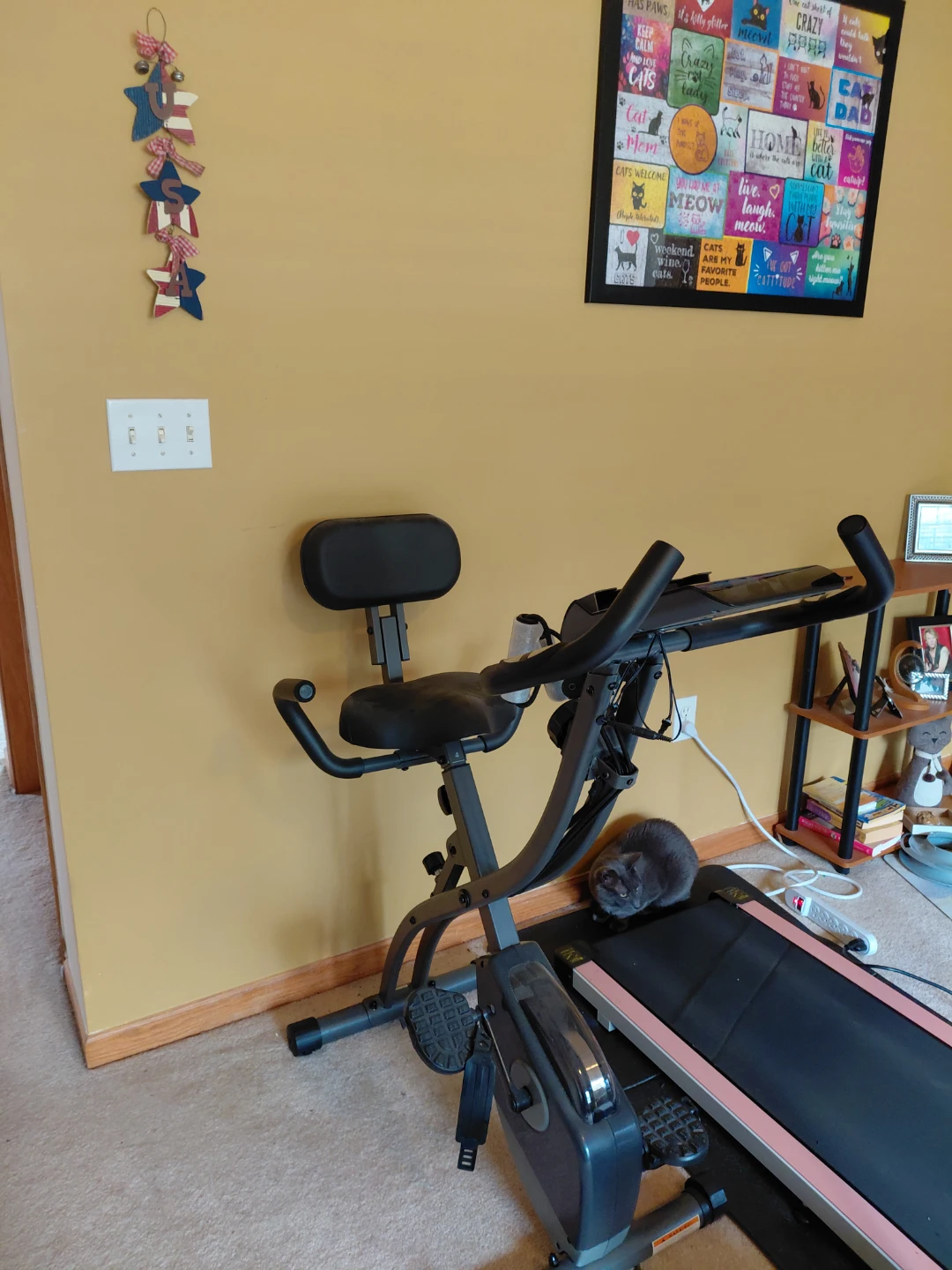 Foldable Exercise Bike - photo 2