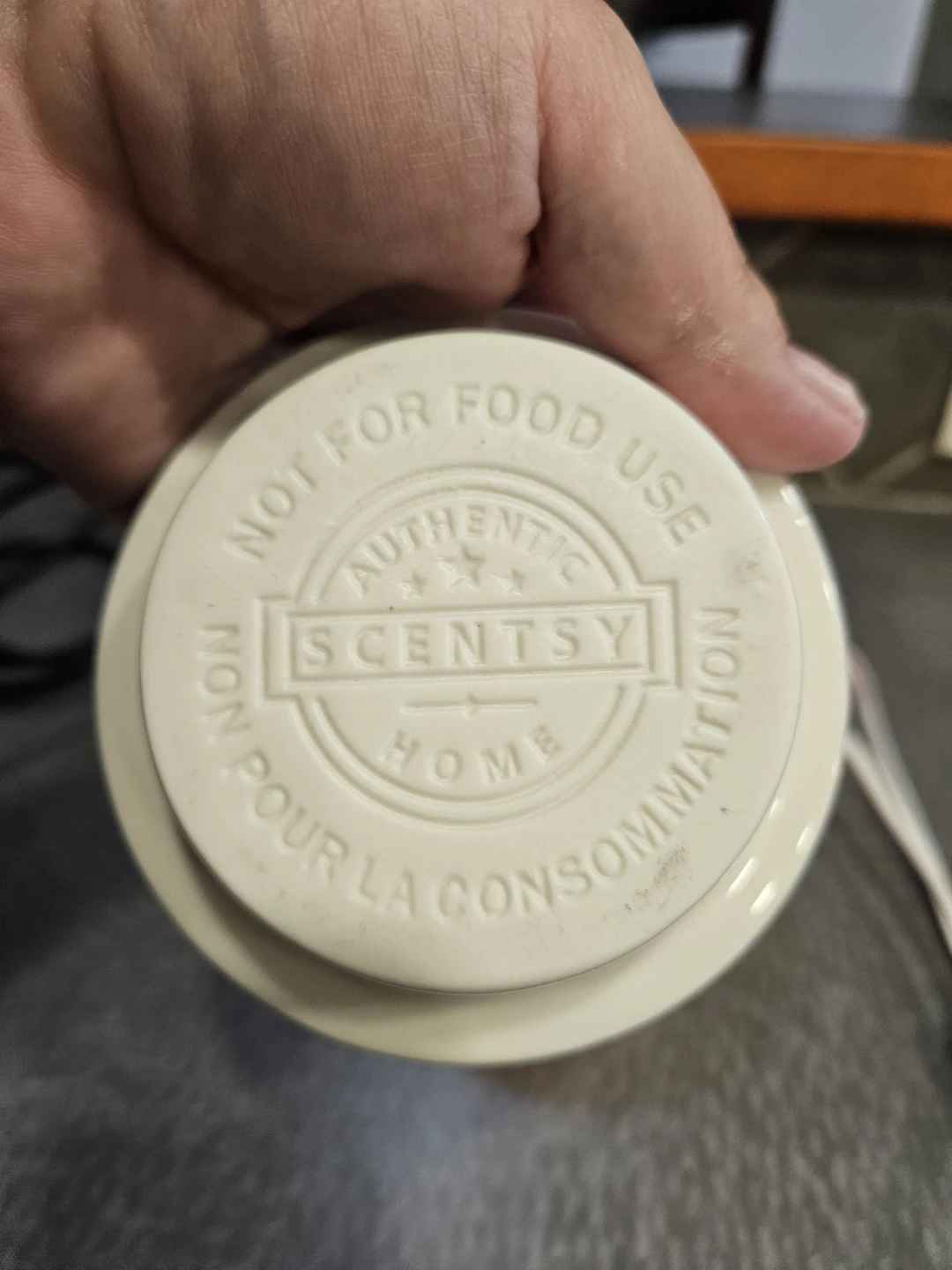 Scentsy Warmer Lamp - photo 5