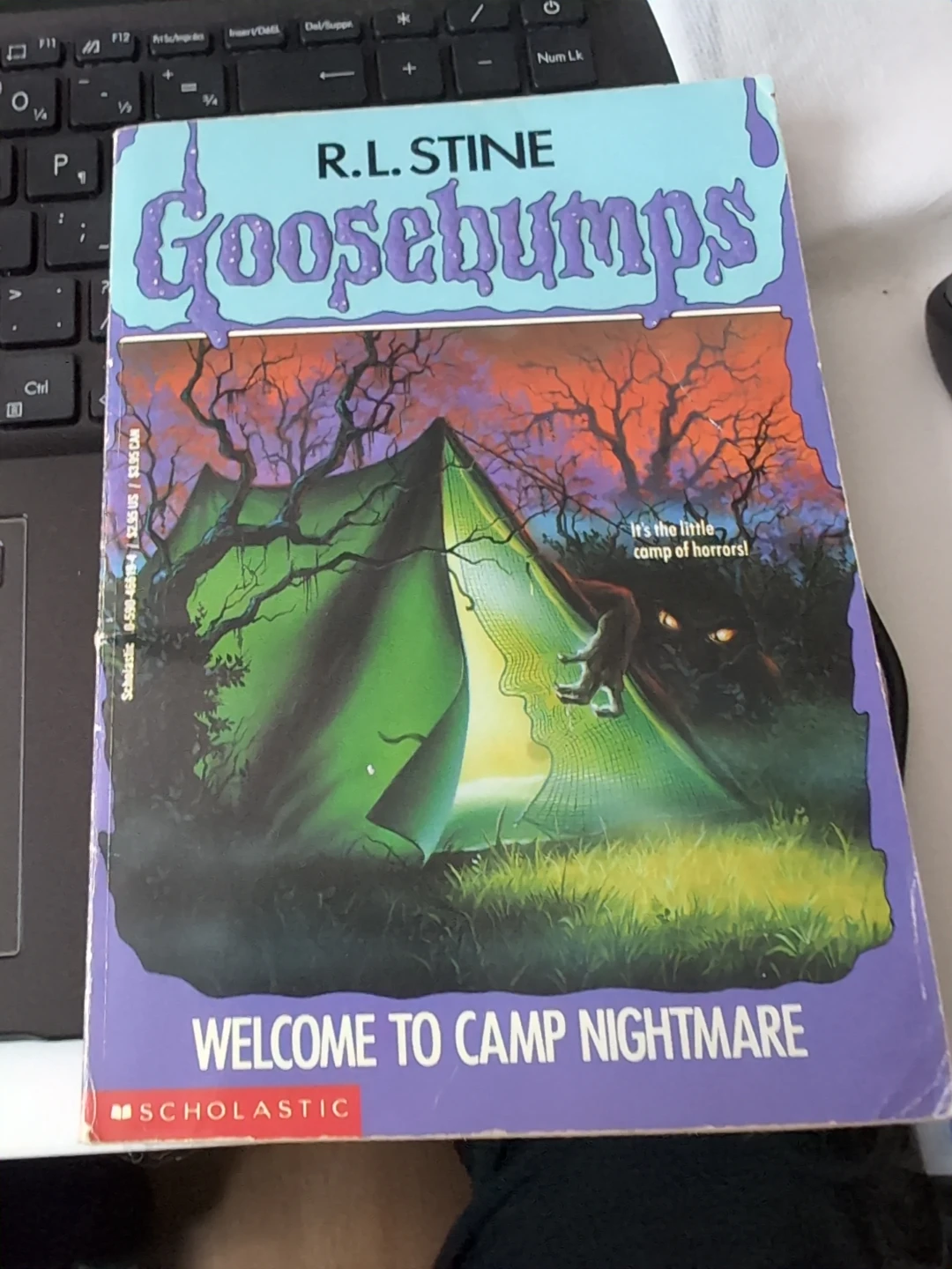 Goosebumps: Welcome to Camp Nightmare by R.L. Stine