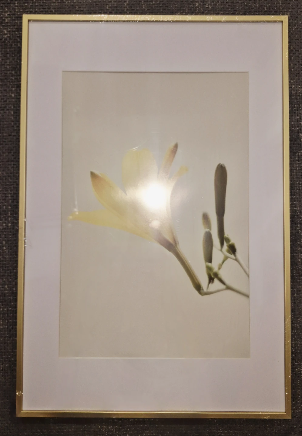 Gold Metal Picture Frame with Mat 16"×24"