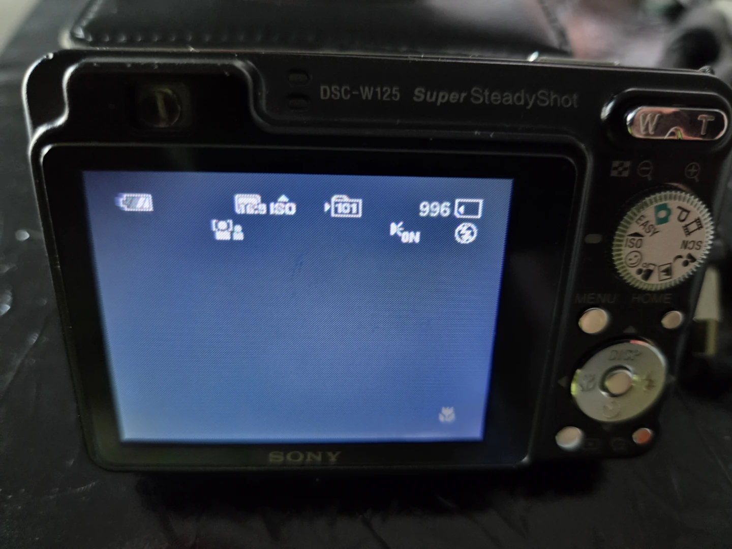 Sony Cyber-shot DSC-W125 Digital Camera - photo 2