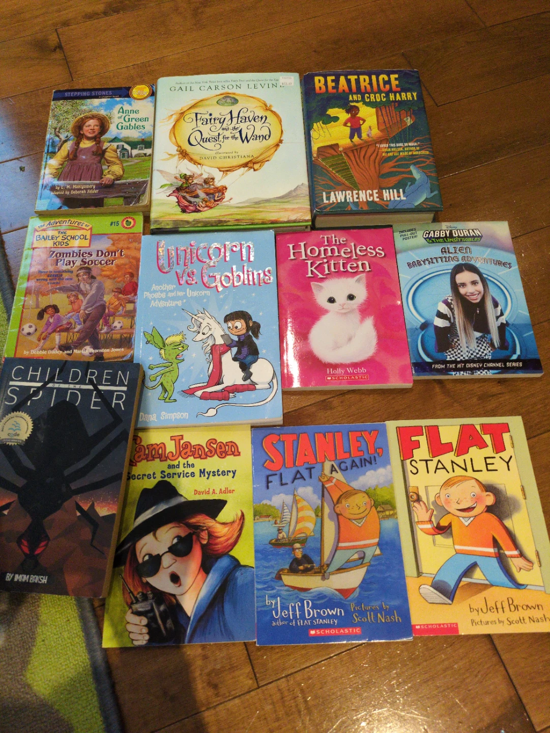 Young reader's book