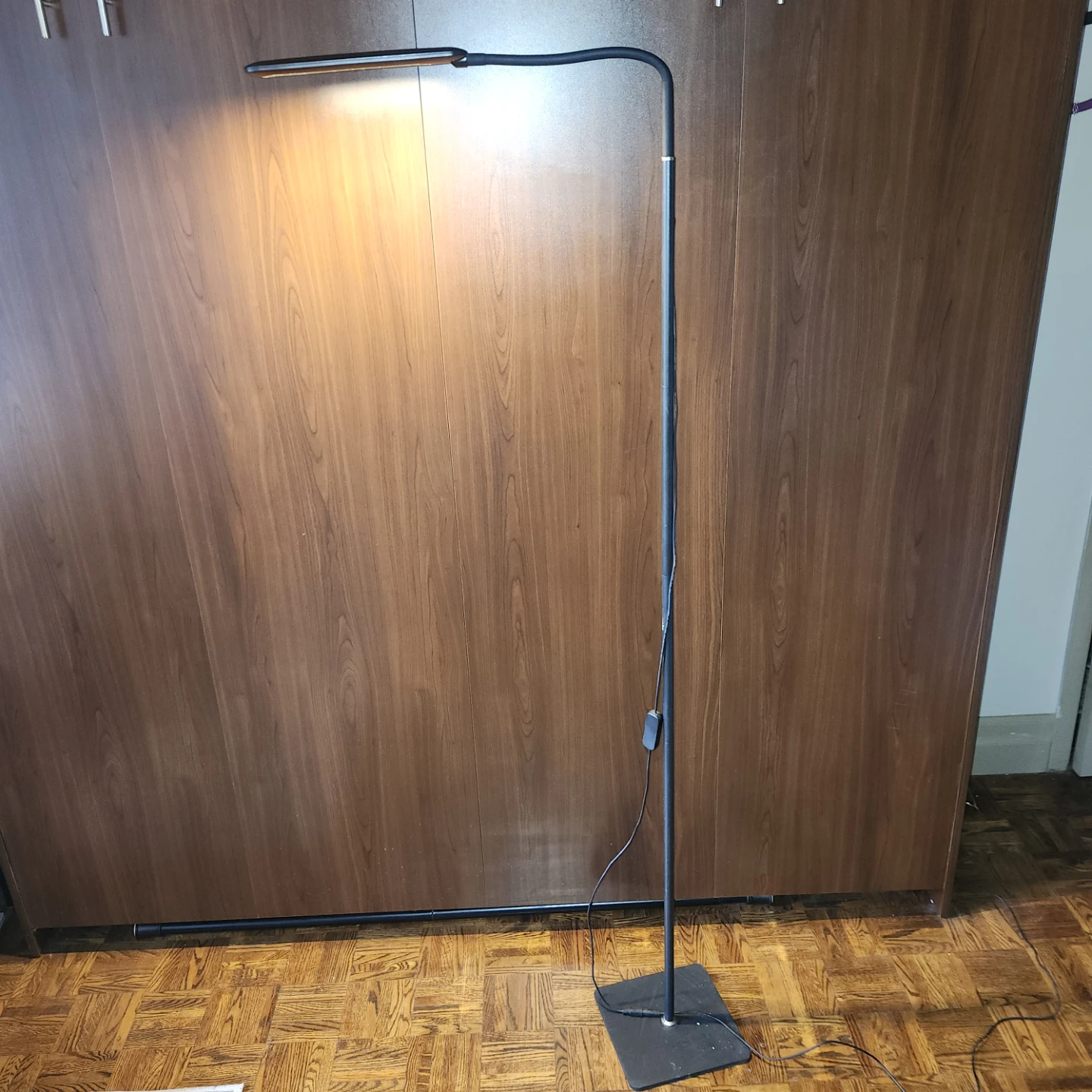 5 ft Black LED Floor Lamp