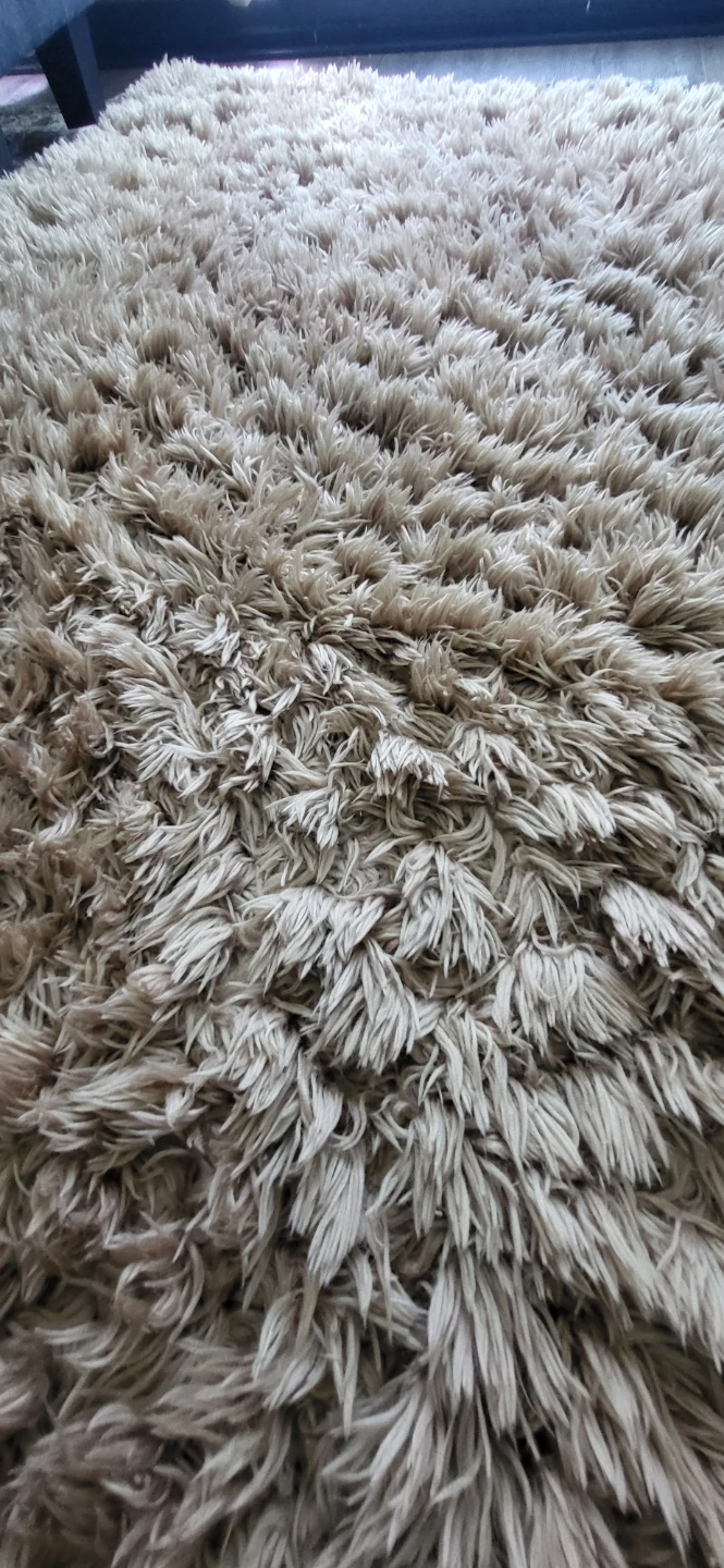 Shag Rug - Beige - photo 2
