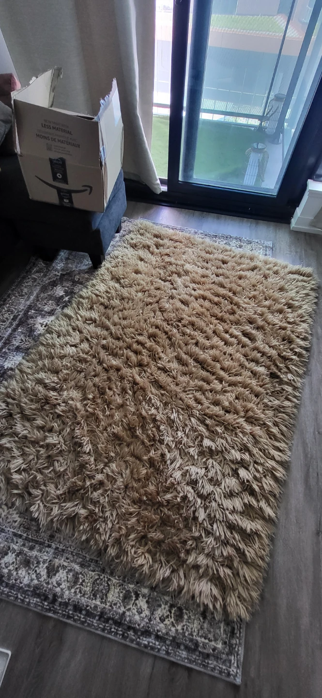 Shag Rug - Beige