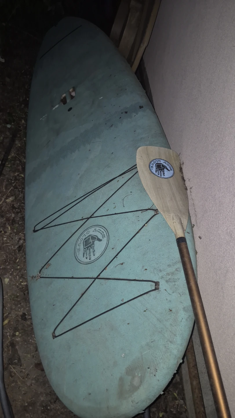 Surfboard with Paddle