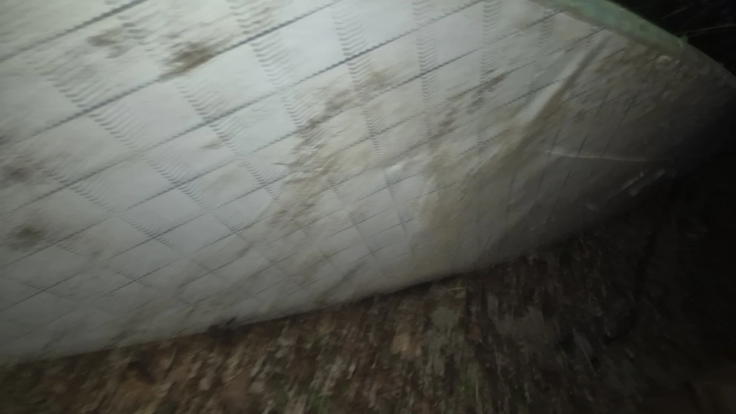 Surfboard with Paddle - photo 2