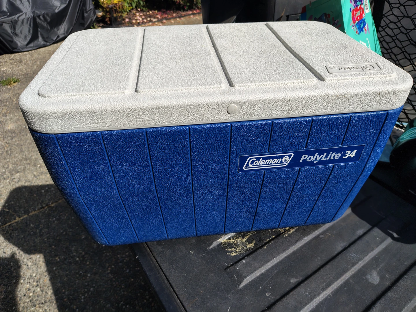 Coleman 34 Qt Carry Picnic Camping ⛺ Cooler 🥕