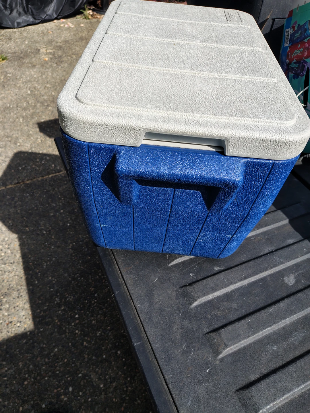 Coleman 34 Qt Carry Picnic Camping ⛺ Cooler 🥕 - photo 4
