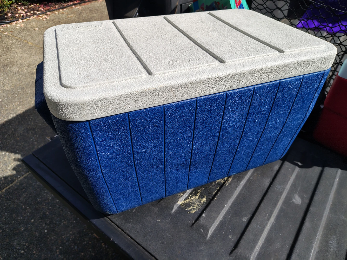 Coleman 34 Qt Carry Picnic Camping ⛺ Cooler 🥕 - photo 5