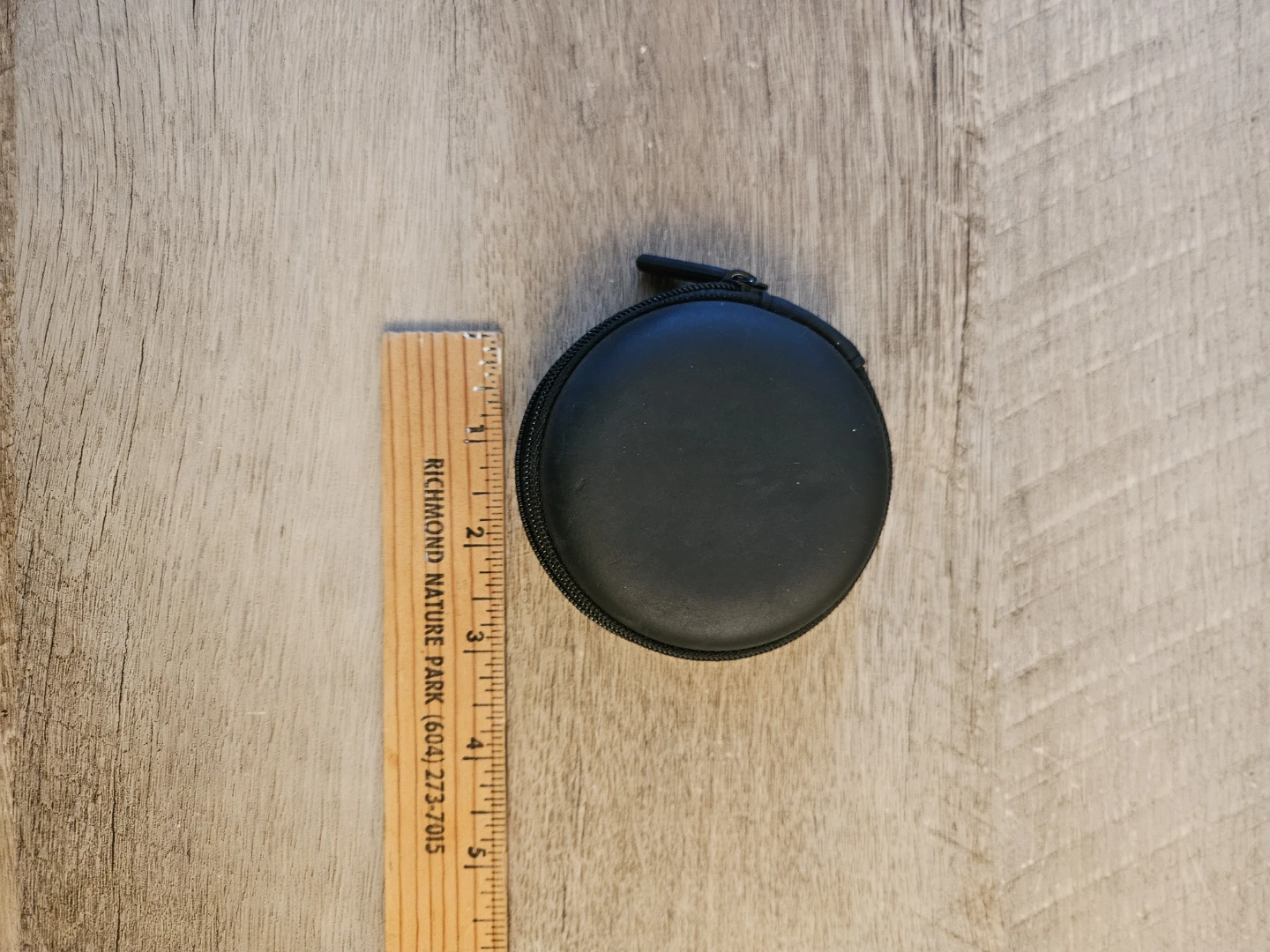 Earbud Case