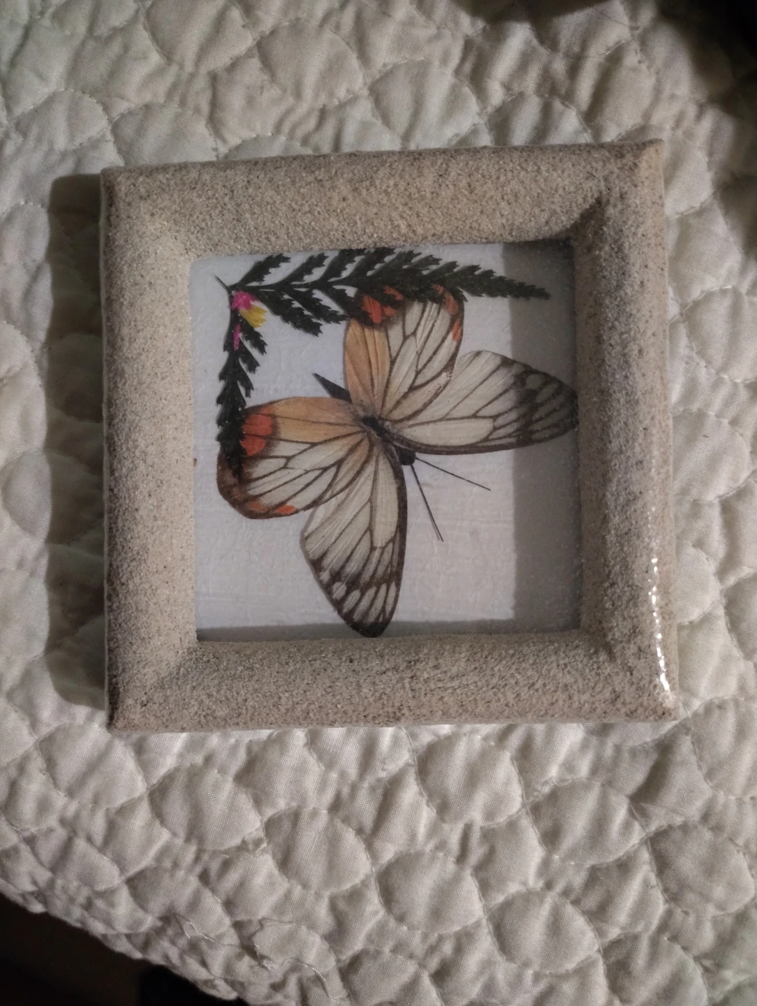 Framed Butterfly Art ⚽