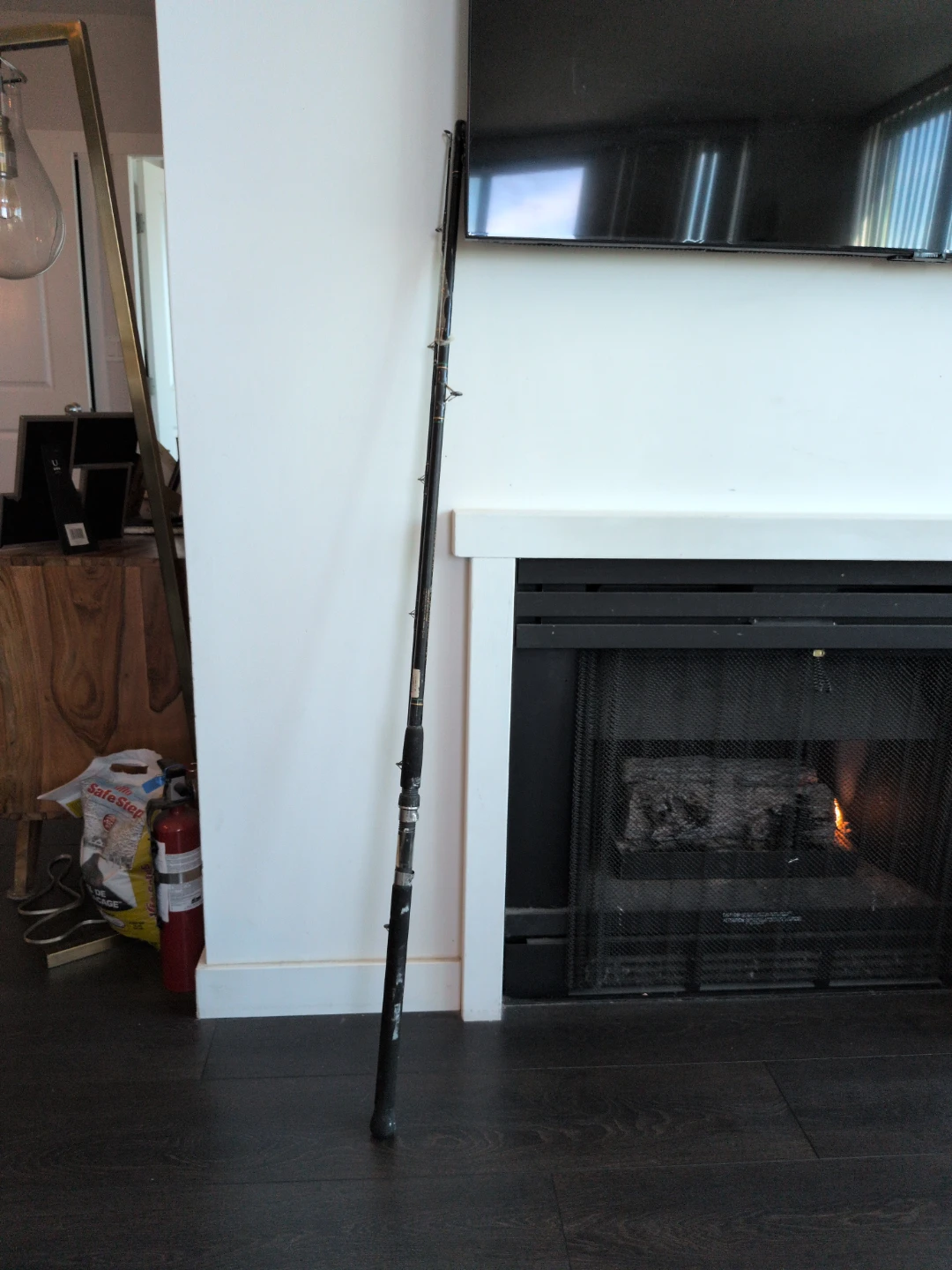 ⚽⚽⚽DAIWA DOWN RIGGER ROD - photo 2