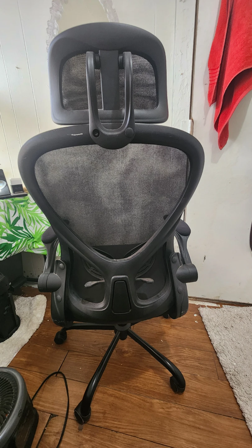 Black Mesh Ergonomic Office Chair with Headrest