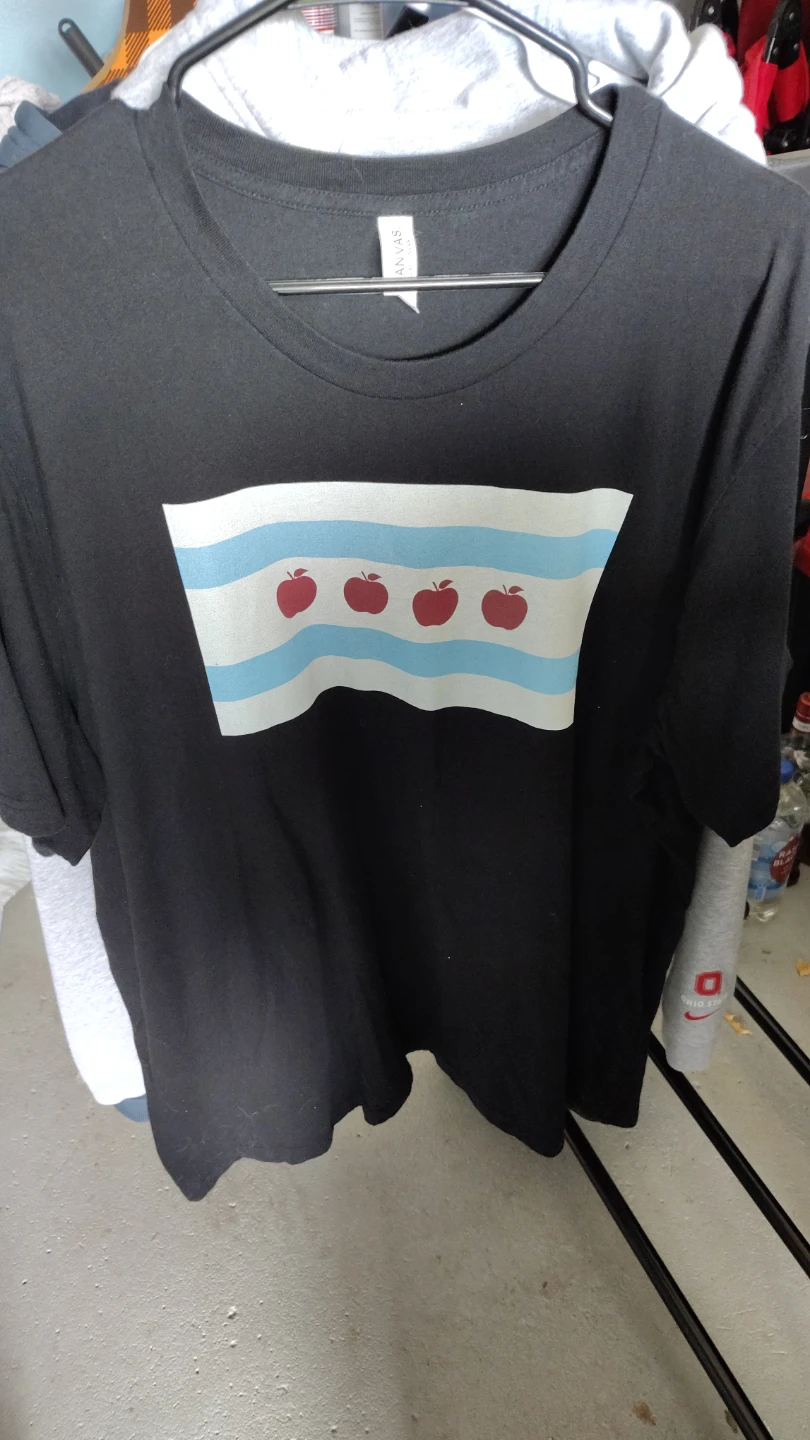 Teacher T-Shirt Chicago Flag Apples - Size 3XL