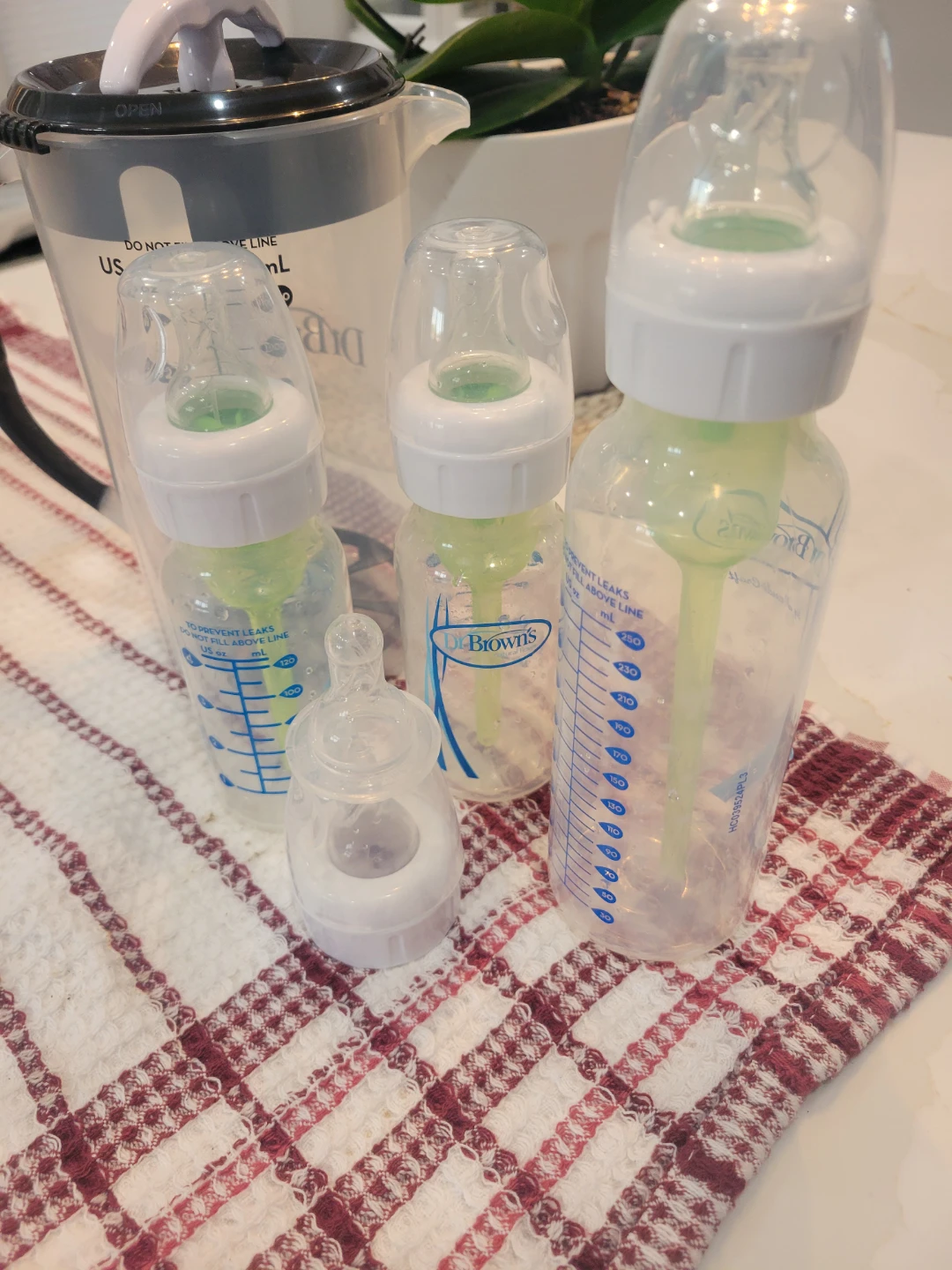 Dr. Brown's Jug and Baby Bottles