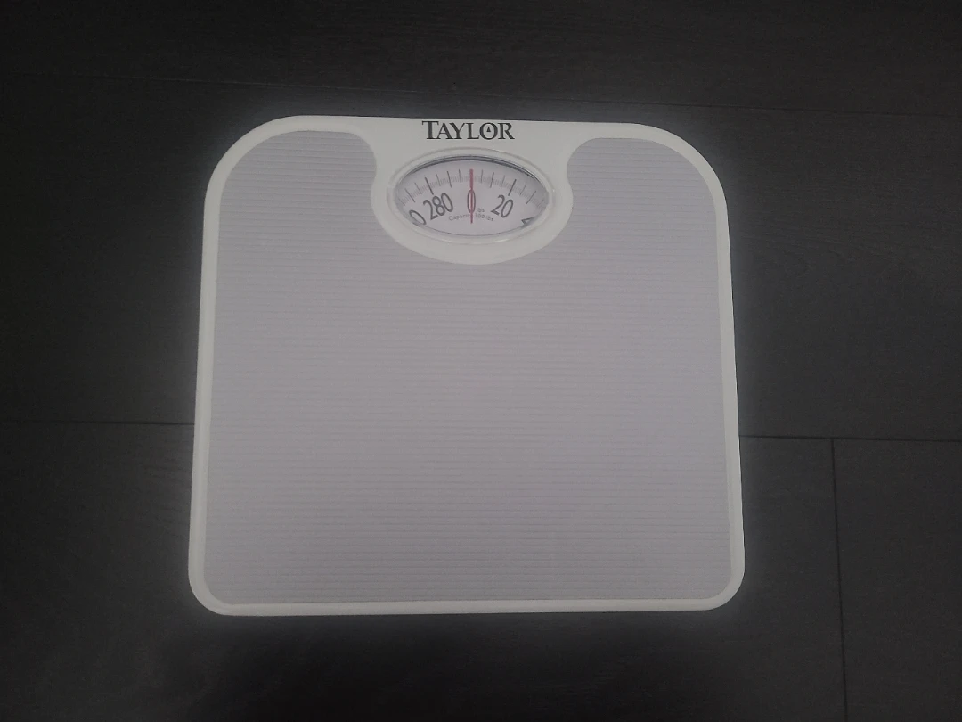 Taylor Mechanical Scale