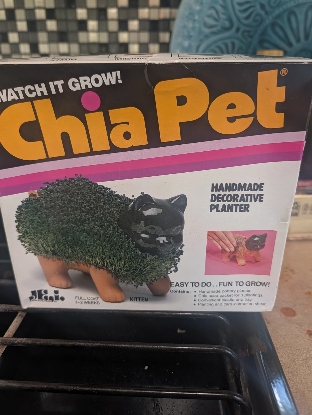 Chia Pet Kitten Handmade Decorative Planter