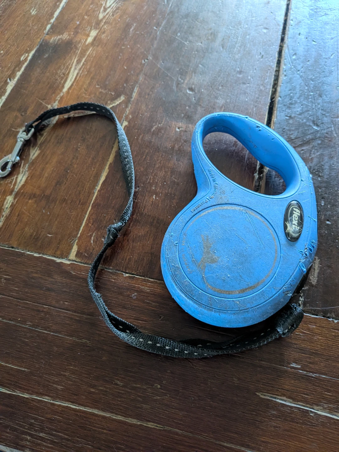 Flexi Retractable Dog Leash - Blue