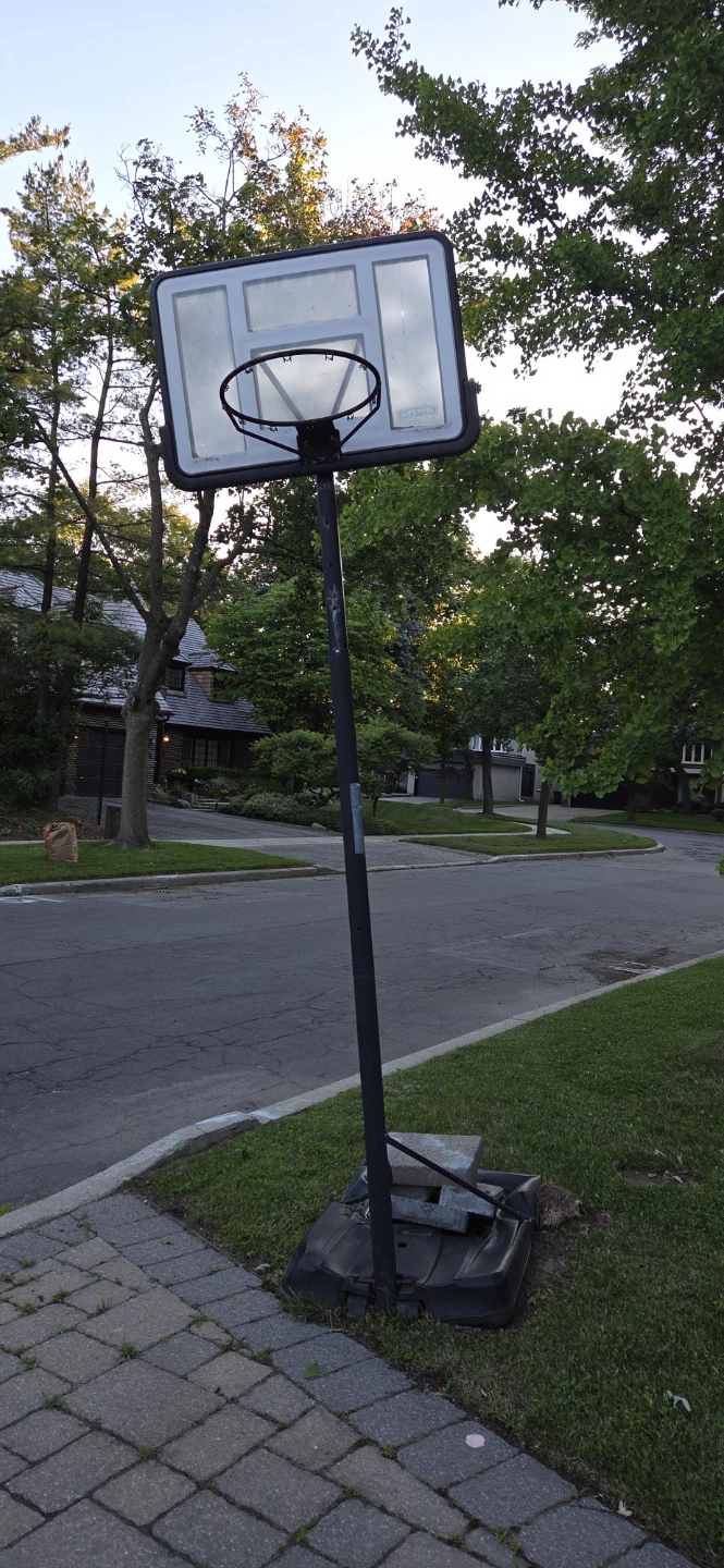 Lifetime Basketball Hoop