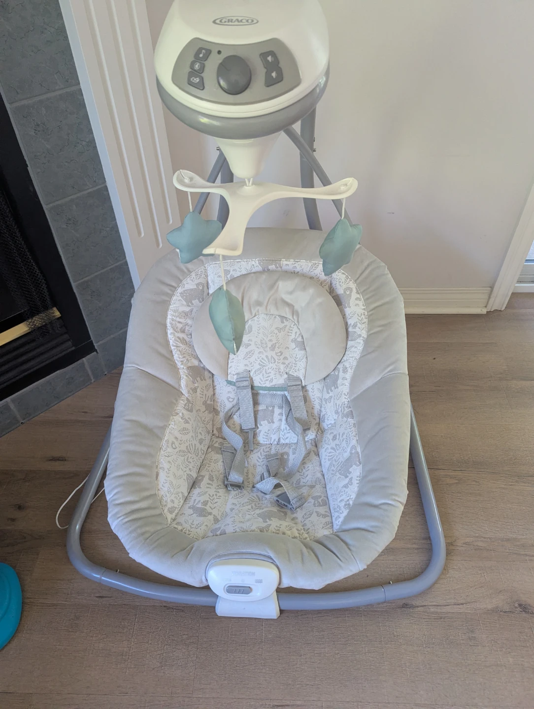Graco Baby Swing