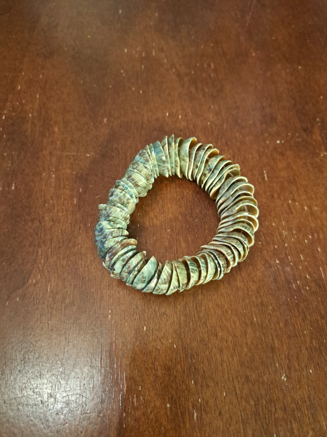 Shell Beaded Stretch Bracelet