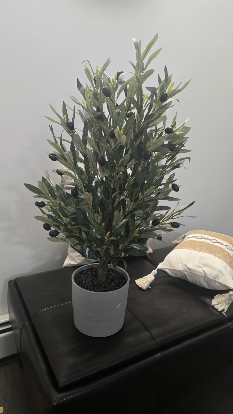 Artificial Olive Tree with Olives in Grey Pot - photo 2
