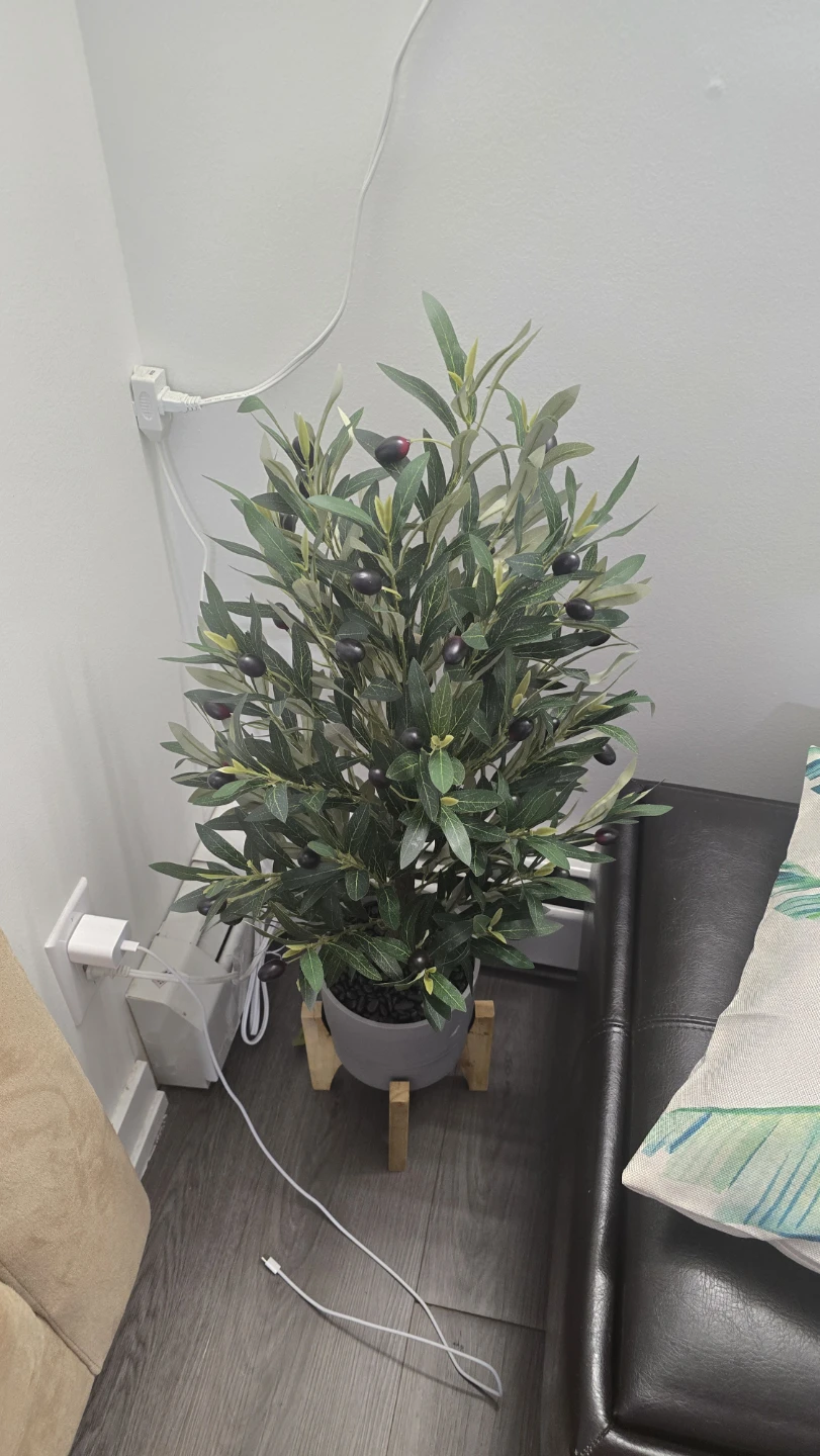 Artificial Olive Tree with Olives in Grey Pot - photo 3